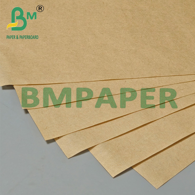 21 - 28gsm Rollo de papel de filtro de café marrón compostable de 440 mm apto para alimentos