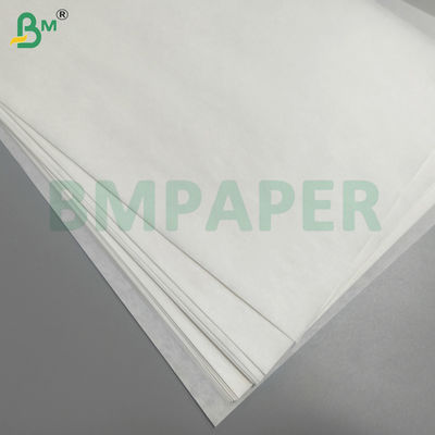 Bolsa protectora de papel impermeable para frutas y verduras, lejos de plagas y pájaros