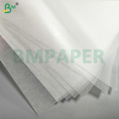 Bolsa protectora de papel impermeable para frutas y verduras, lejos de plagas y pájaros