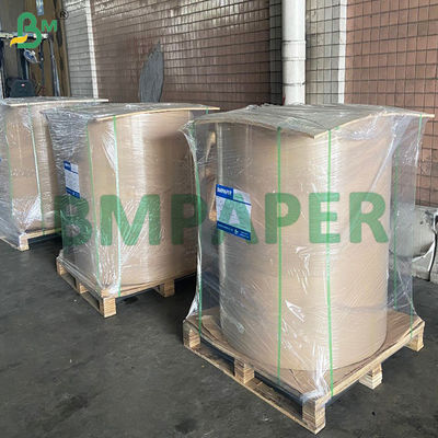 Bolsa protectora de papel impermeable para frutas y verduras, lejos de plagas y pájaros