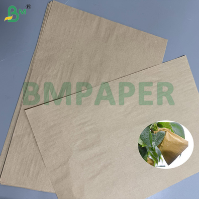 Papel de embalaje de frutas Kraft marrón de 55 g 80 g Protección UV y de plagas para melocotones/peras