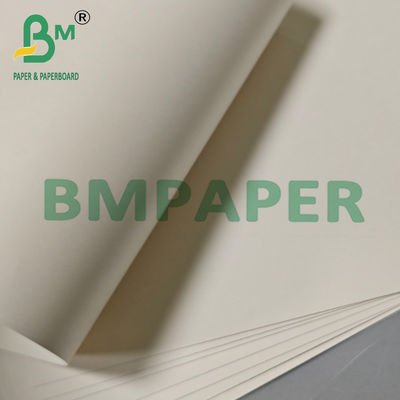 Bol de papel de pulpa de madera biodegradable de 185 g y 270 g para envasado de alimentos