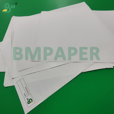 Rollo Jumbo de Papel Térmico de 70 g/m² y 75 g/m² para Máquinas ATM, 400 MM y 790 MM, Libre de BPA
