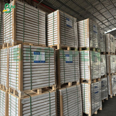 55gsm 60gsm Papel Autocopiante NCR sin Carbón Hojas Extendidas en Blanco 70x100cm 61x86cm