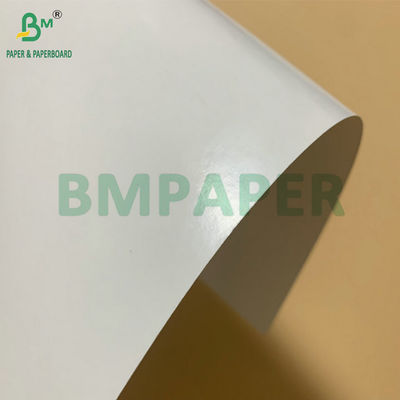 SBS cartón congelado PE recubierto 325gm para hacer caja de embalaje de camarón congelado