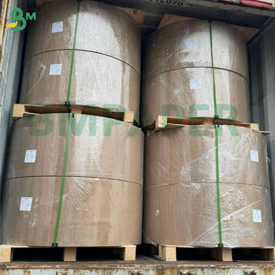 73 g 914 mm x 46 m Dibujo a mano de alta resistencia