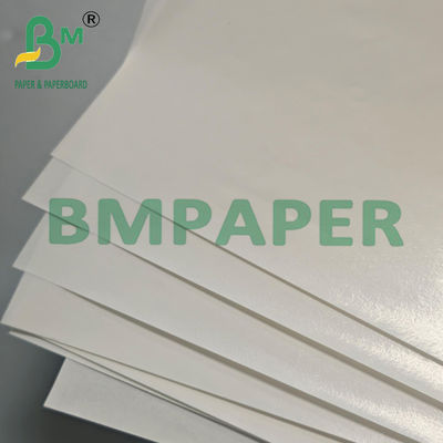 35-70gm Papel Kraft blanco recubierto en PE impermeable 500x700mm para embalaje de cajas de alimentos