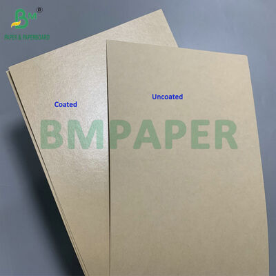 Oilproof PE Coated 170g 190g Bowl Cardboard Used For Making Salad Bowls