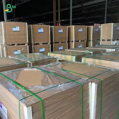 Papel Kraft de Bambú sin blanquear de 250 g/m² con revestimiento de PE para vasos de papel