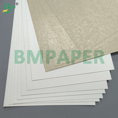 Papel especial para cuencos y platos de grado alimenticio / Papel para platos, recubierto con PET