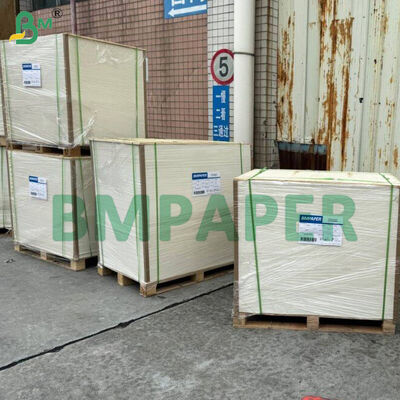 Papel especial para cuencos y platos de grado alimenticio / Papel para platos, recubierto con PET