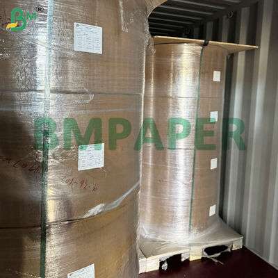 Papel especial para cuencos y platos de grado alimenticio / Papel para platos, recubierto con PET