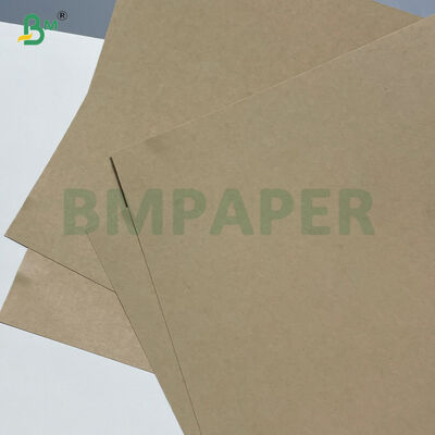 260GSM+ 18GSM FDA Papel Kraft de bambú degradable con papel de copa recubierto con PE / PLA