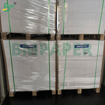 68lb 80lb C/1S Premium Papel recubierto de una sola cara 25 pulgadas X 38 pulgadas Hojas en blanco blancas