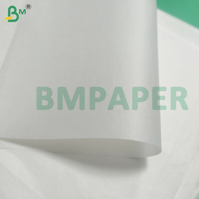 Papel de encaje de pergamino horneado de grado alimenticio 50 g/m² para hornear moldes de papel para magdalenas