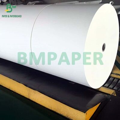 Papel térmico de imagen negra Jumbo Roll 48gsm 50gsm 60gsm 70gsm para etiquetas