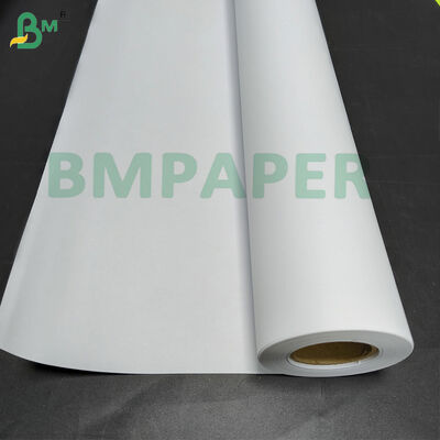 Papel para suelo de granja avícola de alta absorción blanco 74 cm x rollo de 200 m