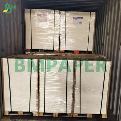 Cartulina de doble cara recubierta de 370 lb, 12" x 18", color blanco