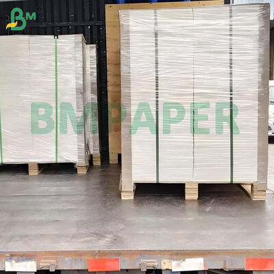 Cartulina Bristol Blanca Sin Recubrimiento Lisa de 100 lb (270 g/m²) de 22" x 30"