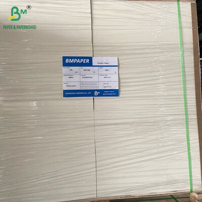 Cartón absorbente blanco de 350g 390g 480 X 330mm de grano corto para posavasos