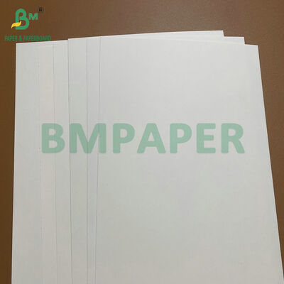 Papel de contacto para alimentos de cartón blanco de 275 gm 325 gm de gran volumen C1S recubierto para platos y bandejas desechables