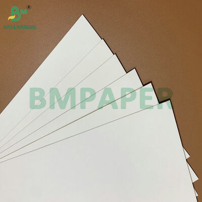 Papel de contacto para alimentos de cartón blanco de 275 gm 325 gm de gran volumen C1S recubierto para platos y bandejas desechables