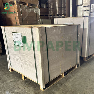 Cartulina blanca de 300 g/m² y 400 g/m² de 539 mm x 517 mm para embalaje blíster de cepillos de dientes