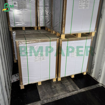 El rollo de papel revestido de silicona para hornear 40gsm blanqueó el papel de pergamino