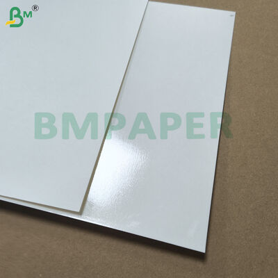 Papel blanco revestido con PET para plato de vajilla y plato resistente al calor
