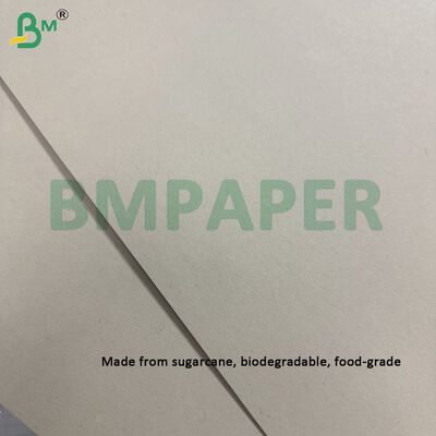 La hoja de papel de pulpa de bagazo de caña de azúcar sin blanquear 300gsm es biodegradable certificada 787 mm x 1092 mm