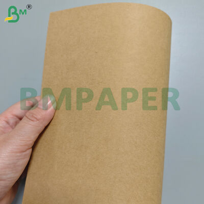 210gm+18gm PE recubierto sin filtración de papel de base de plato de fideos
