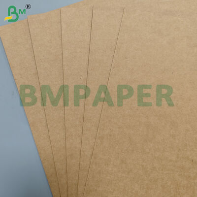 210gm+18gm PE recubierto sin filtración de papel de base de plato de fideos