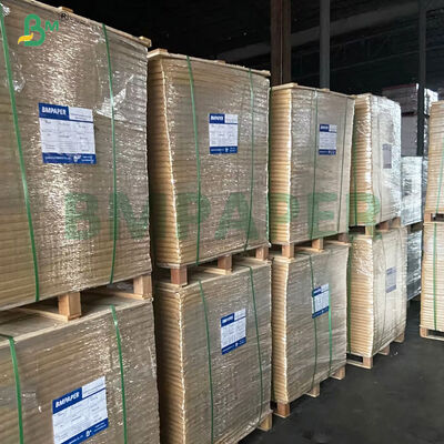 Grado alimenticio de doble lado PE revestido de papel de cuenco de base de papel 250 350 gramos para el cubo de fideos instantáneos