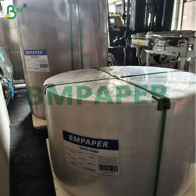 Papel recubierto de silicona de 40 gm y 42 gm libre de PFAS para hornear pasteles