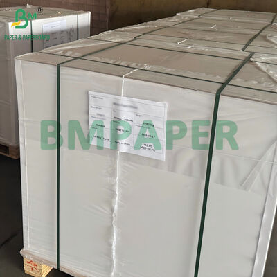 42gsm 45gsm Non-Stick White Silicone Paper Sheet 500mm X 600mm for Air Fryer Use