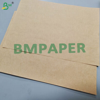 papel melancólico del polluelo de 70g 80g para la cría de aves de corral el alto absorbente 40" 48"