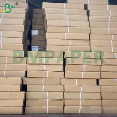 Rollos de papel para trazador CAD de 80 g/m² para impresión de ingeniería precisa