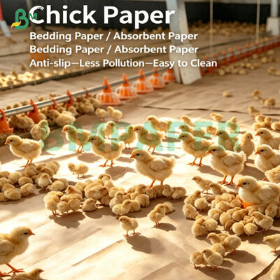 Revestimiento Kraft absorbente de aislamiento fuerte para el cultivo de aves de corral jóvenes