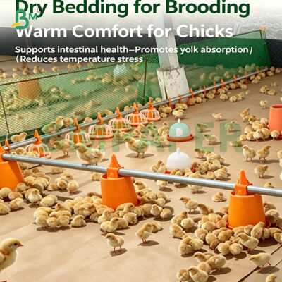 Papel de cama de pollo biodegradable resistente a la humedad para pollo