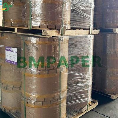 Anti-Inserción y Papel de Protección de Frutas de Uvas de Mango y Aves