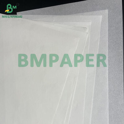 La humedad resiste el rollo de papel blanco de categoría alimentaria de 25gsm a 40gsm para envolver tortillas