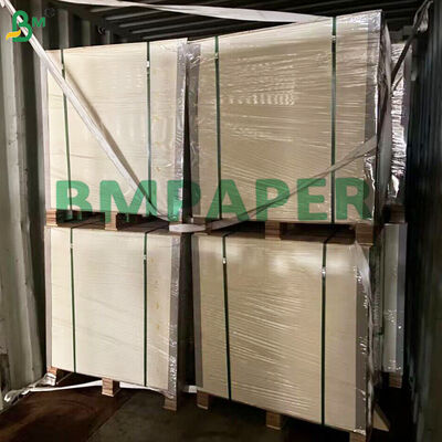 Papel de regalo para tortillas 23g 25g Papel Cebolla antiadherente antiadherente Para Tortillas
