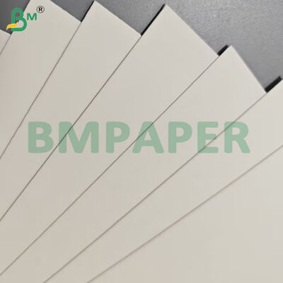 Grado alimenticio Contenedor de alimentos Hojas de papel de 190 gramos + Revestimiento en PE