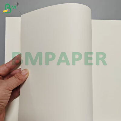 Grado alimenticio Contenedor de alimentos Hojas de papel de 190 gramos + Revestimiento en PE