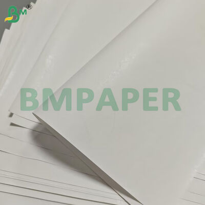 55gsm Rollos Jumbo de Papel Térmico de Ancho Personalizado para Etiquetas