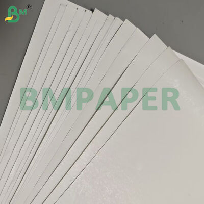 55gsm Rollos Jumbo de Papel Térmico de Ancho Personalizado para Etiquetas