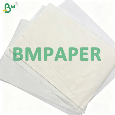 Papel para envolver tortillas con alta resistencia a la humedad, rollos de 25 g/m², 30 g/m² y 36 pulgadas