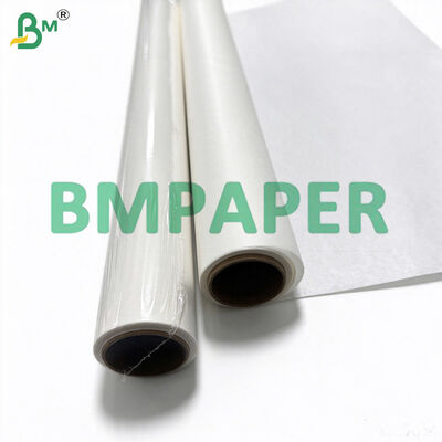 38gsm 40gsm Parchment Baking Paper Rolls 15in X 24ft/30ft/36ft/200ft