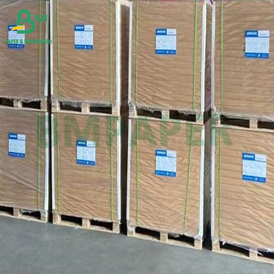 Papel metalizado de aluminio dorado y plata