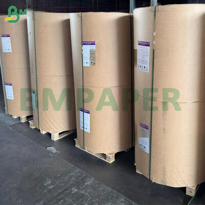 50 gm Rollos de papel recubiertos de silicona de dos lados para hornear al vapor